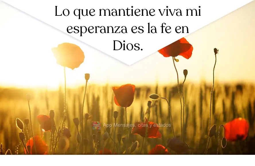 Lo que mantiene viva mi esperanza es la fe en Dios.