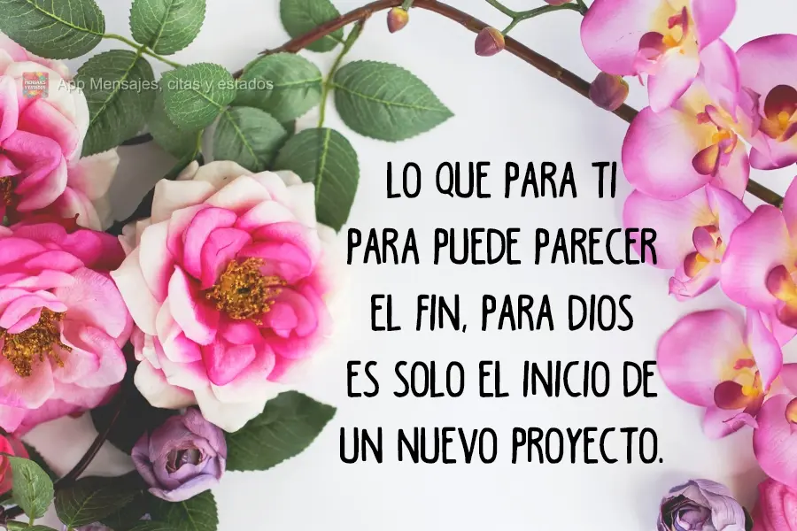 Lo que para ti puede parecer el fin, para Dios es solo el inicio de un nuevo proyecto.