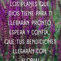 ¡Los planes que Dios tiene para ti llegarán pronto, espera y confía, que tus bendiciones llegarán con gloria!