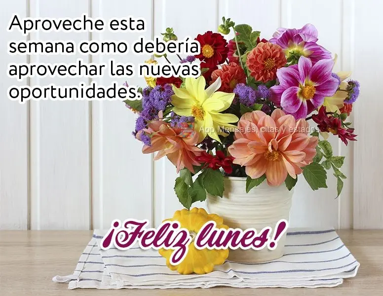 Aproveche esta semana como debería aprovechar las nuevas oportunidades. ¡Feliz lunes!
