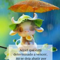 Aquel que está determinado a vencer, no se deja abatir por las circunstancias, pero si se fortalece con ellas. Lunes