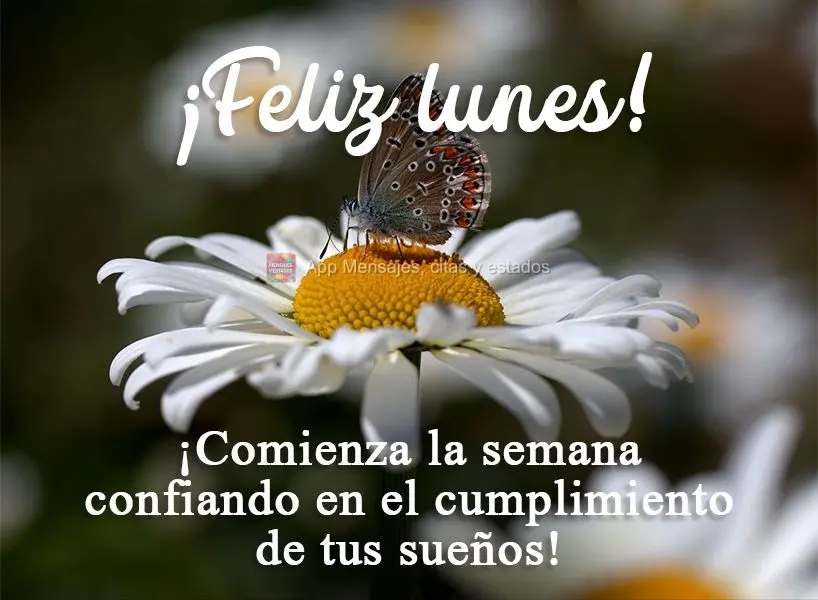 ¡Comienza la semana confiando en el cumplimiento de tus sueños! ¡Feliz lunes!