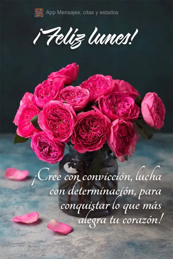 ¡Cree con convicción, lucha con determinación, para conquistar lo que más alegra tu corazón! ¡Feliz lunes!