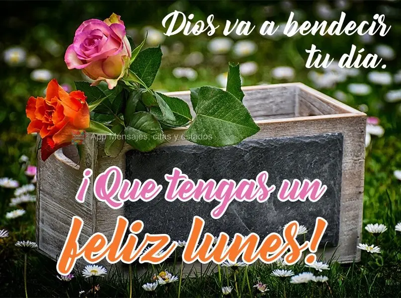Dios va a bendecir tu día. ¡Que tengas un feliz lunes!