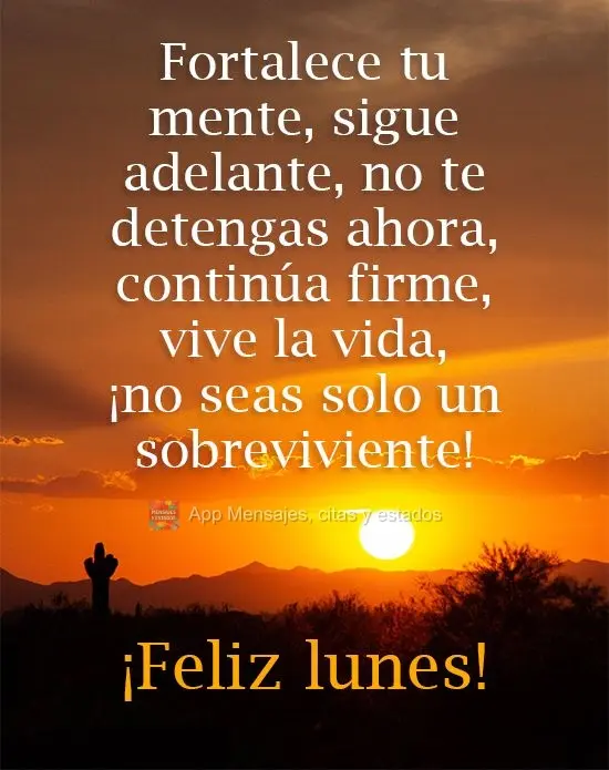 Fortalece tu mente, sigue adelante, no te detengas ahora, continúa firme, vive la vida, ¡no seas solo un sobreviviente! ¡Feliz lunes!