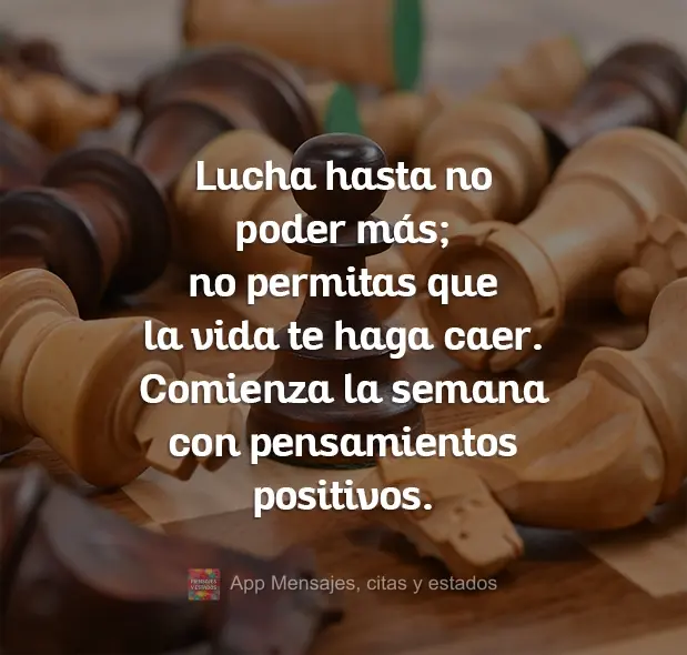 Lucha hasta no poder más; no permitas que la vida te haga caer. Comienza la semana con pensamientos positivos.