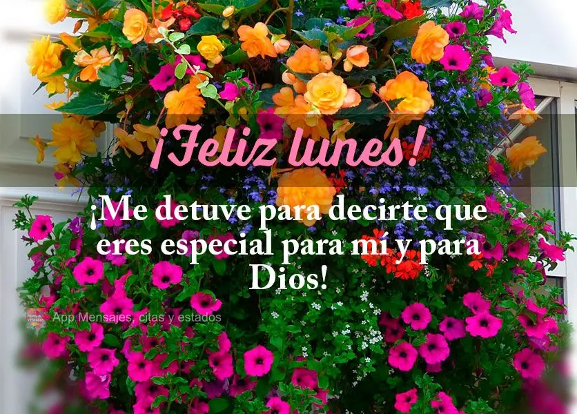¡Me detuve para decirte que eres especial para mí y para Dios! ¡Feliz lunes!