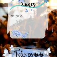 Lunes
Por eso no nos desanimamos. Aunque por fuera nos vamos desgastando, por dentro nos renovamos de día en día.
2 Corintios 4.16
Feliz semana Lune...