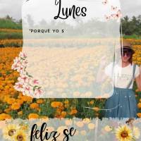 Lunes

'Porque yo sé los planes que tengo para ti', dice el Señor, 'planes para prosperarte y no para dañarte, planes para darte esperanza y un futu...