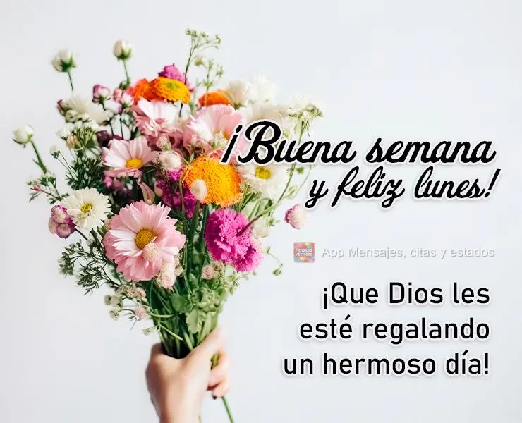 ¡Que Dios les esté regalando un hermoso día! ¡Buena semana y feliz lunes!
