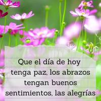 Que el día de hoy tenga paz, los abrazos tengan buenos sentimientos, las alegrías sean constantes y que seamos agradecidos por todo esto! ¡Feliz lunes...