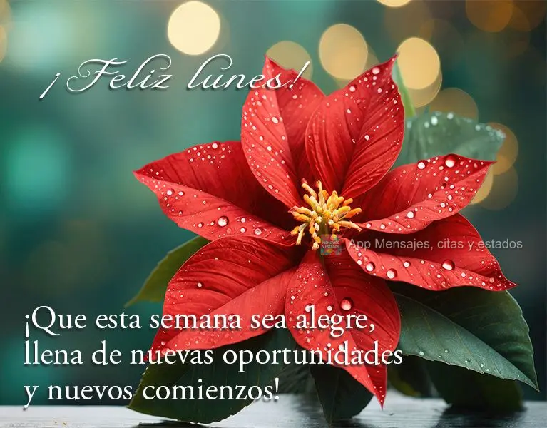 ¡Que esta semana sea alegre, llena de nuevas oportunidades y nuevos comienzos!  ¡Feliz lunes!