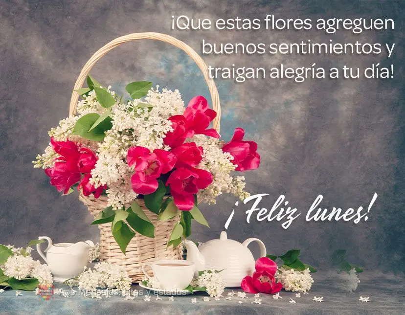 ¡Que estas flores agreguen buenos sentimientos y traigan alegría a tu día! ¡Feliz lunes!