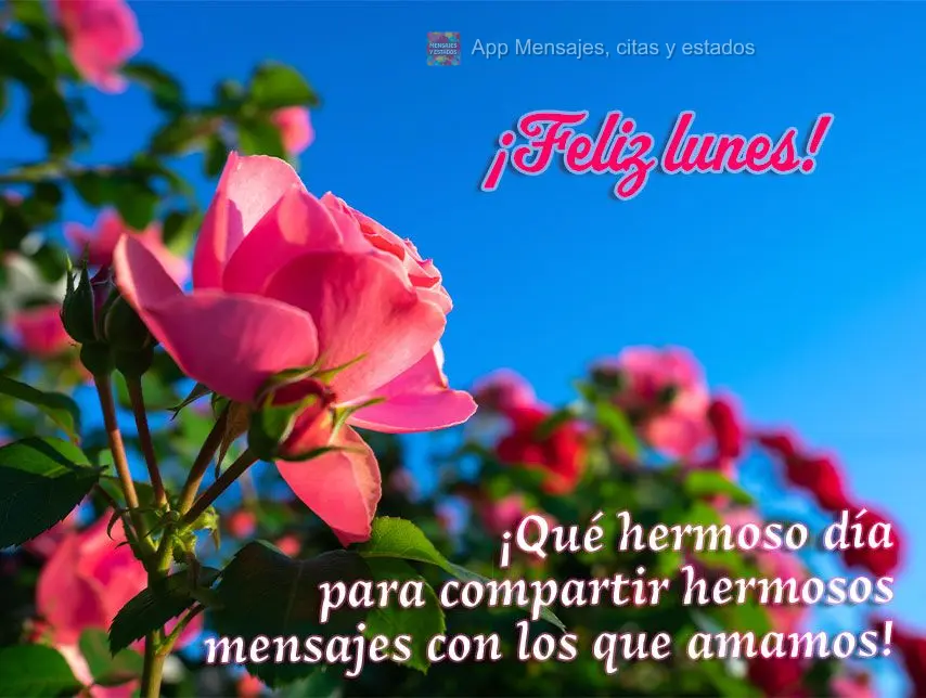 ¡Qué hermoso día para compartir hermosos mensajes con los que amamos! ¡Feliz lunes!
