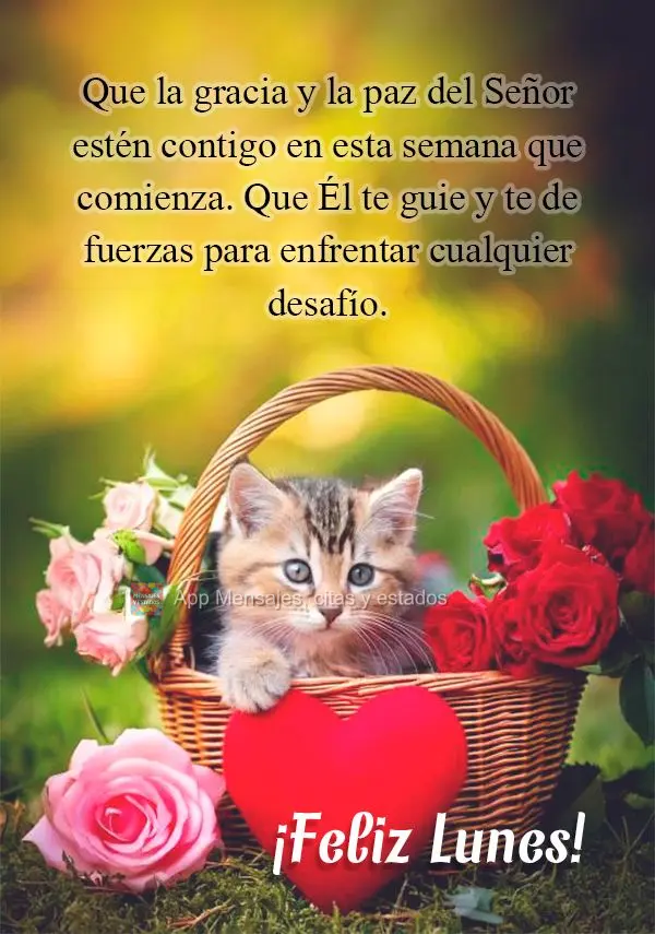 Que la gracia y la paz del Señor estén contigo en esta semana que comienza. Que Él te guie y te de fuerzas para enfrentar cualquier desafío. ¡Feliz ...