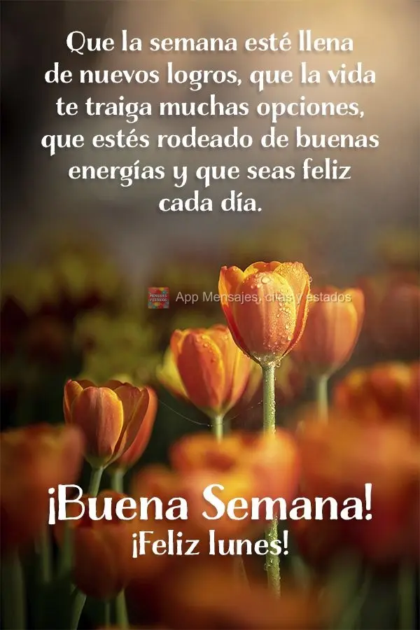 Que la semana esté llena de nuevos logros, que la vida te traiga muchas opciones, que estés rodeado de buenas energías y que seas feliz cada día. ¡B...