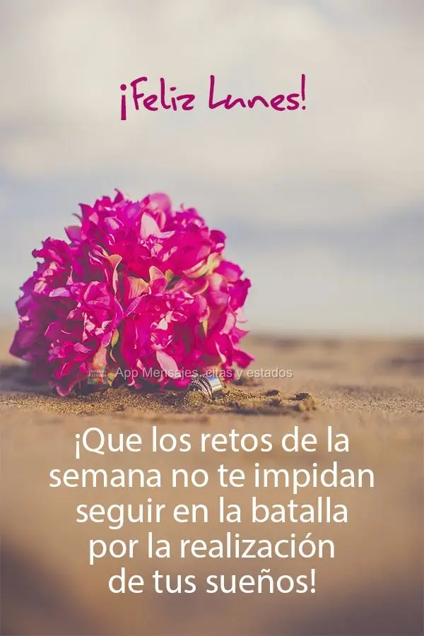¡Que los retos de la semana no te impidan seguir en la batalla por la realización de tus sueños! ¡Feliz lunes!