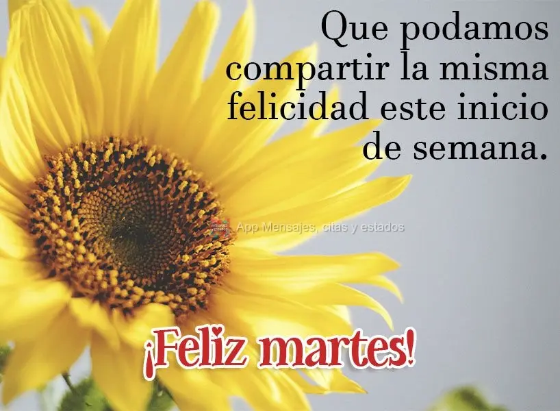 Que podamos compartir la misma felicidad este inicio de semana. ¡Feliz lunes!