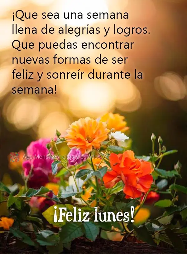 ¡Que sea una semana llena de alegrías y logros. Que puedas encontrar nuevas formas de ser feliz y sonreír durante la semana! ¡Feliz lunes!