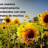 ¡Que seamos completamente bendecidos con una semana de muchos logros! ¡Feliz lunes!