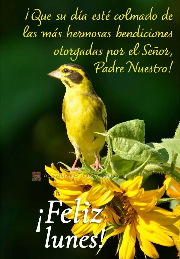¡Que su día esté colmado de las más hermosas bendiciones otorgadas por el Señor, Padre Nuestro! ¡Feliz lunes!