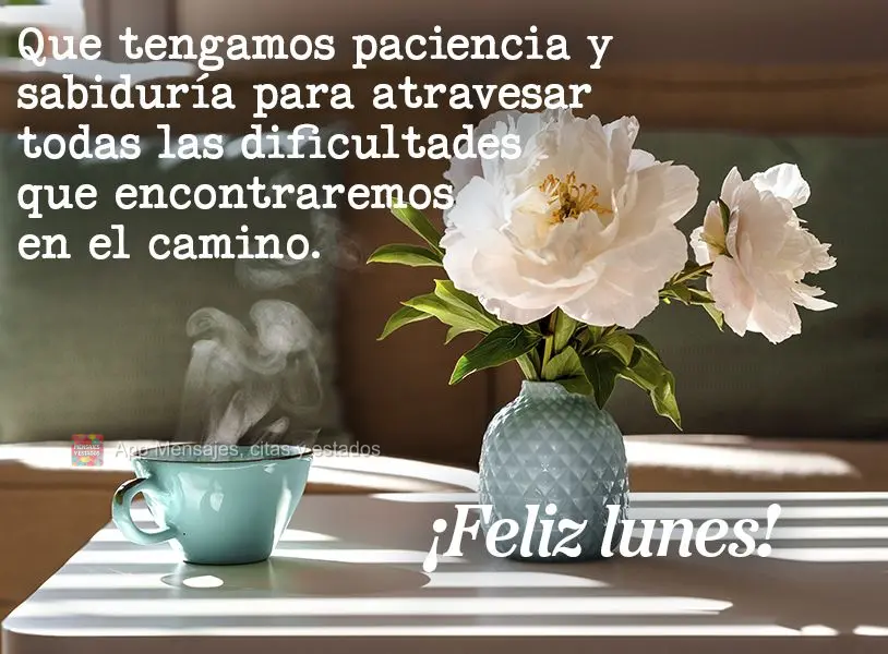 Que tengamos paciencia y sabiduría para atravesar todas las dificultades que encontraremos en el camino. ¡Feliz lunes!