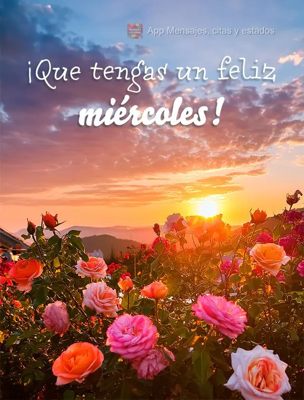 ¡Que tengas un feliz miércoles!