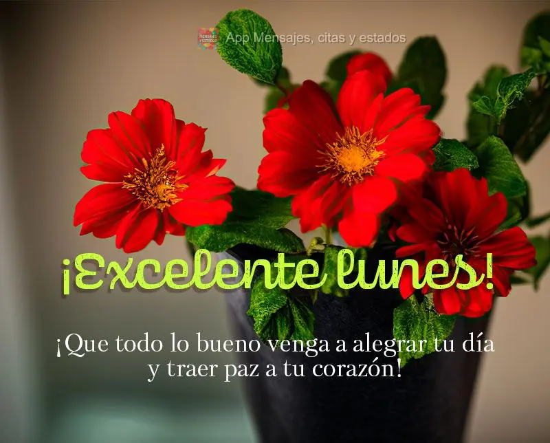 ¡Que todo lo bueno venga a alegrar tu día y traer paz a tu corazón! ¡Excelente lunes!