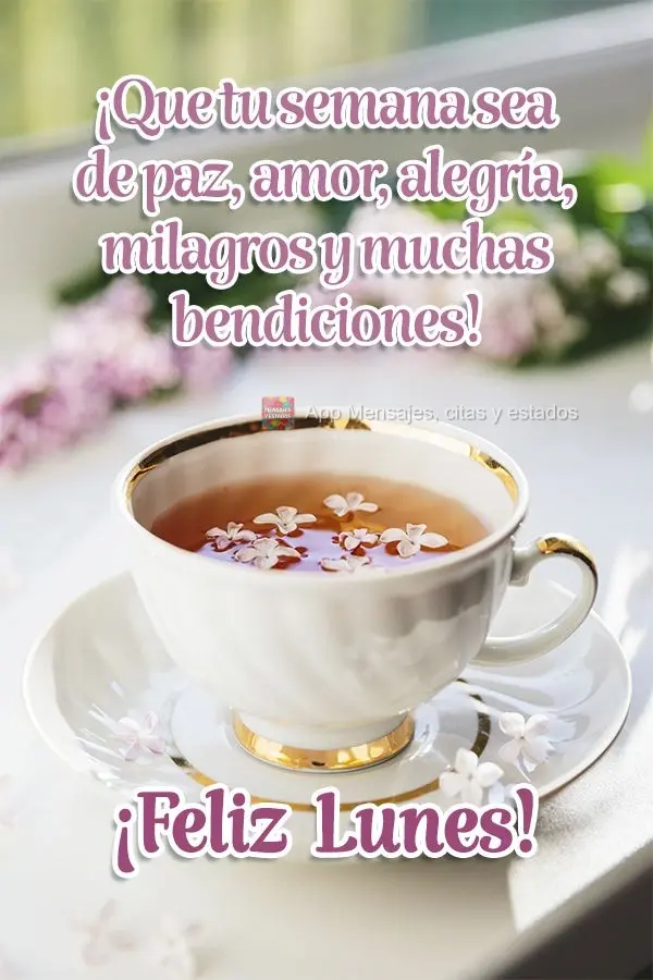 ¡Que tu semana sea de paz, amor, alegría, milagros y muchas bendiciones! ¡Feliz lunes!