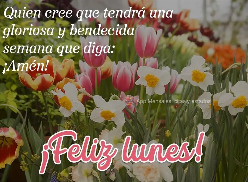 Quien cree que tendrá una gloriosa y bendecida semana que diga: ¡Amén! ¡Feliz lunes!