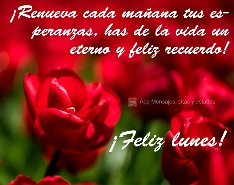 ¡Renueva cada mañana tus esperanzas, has de la vida un eterno y feliz recuerdo! ¡Feliz lunes!