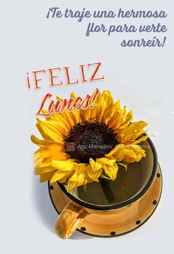 ¡Te traje una hermosa flor para verte sonreír! ¡Feliz lunes!