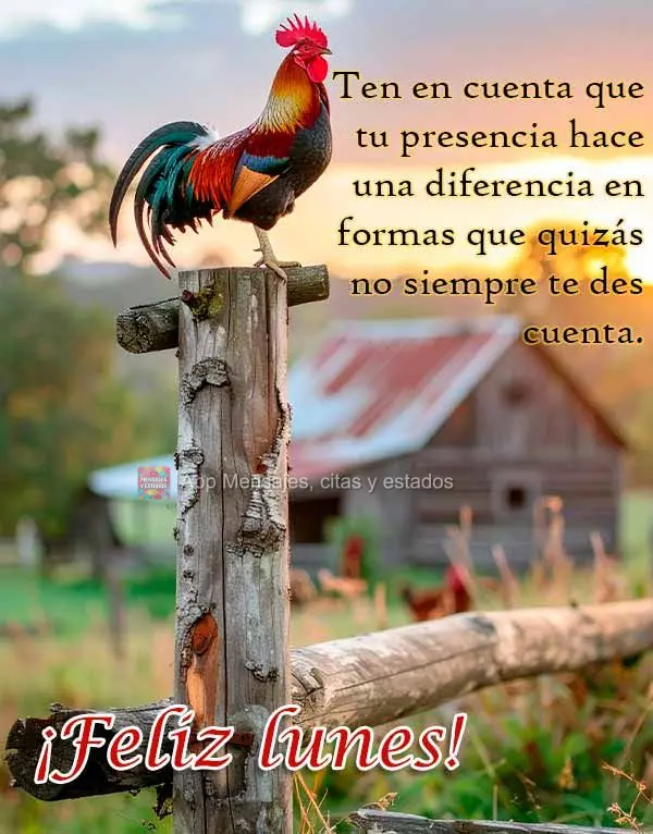 Ten en cuenta que tu presencia hace una diferencia en formas que quizás no siempre te des cuenta. ¡Feliz lunes!