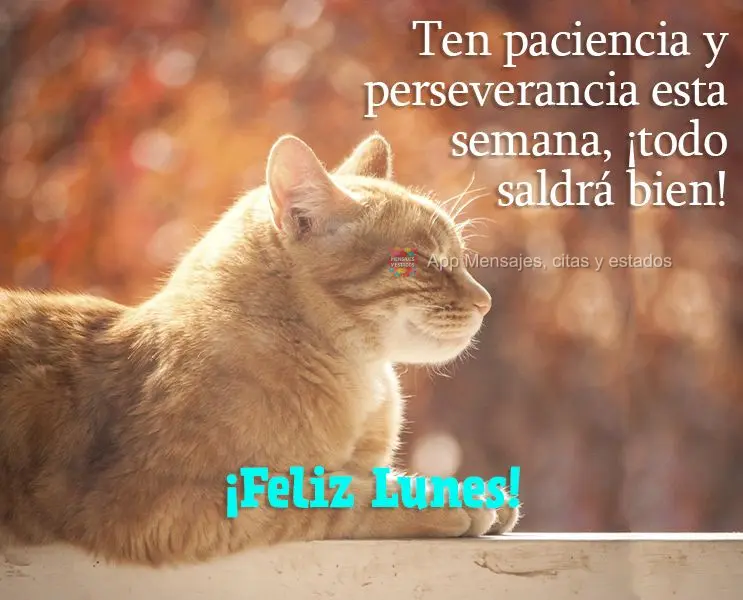 Ten paciencia y perseverancia esta semana, ¡todo saldrá bien! ¡Feliz lunes!