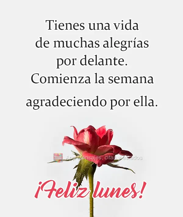 Tienes una vida de muchas alegrías por delante. Comienza la semana agradeciendo por ella. ¡Feliz lunes!