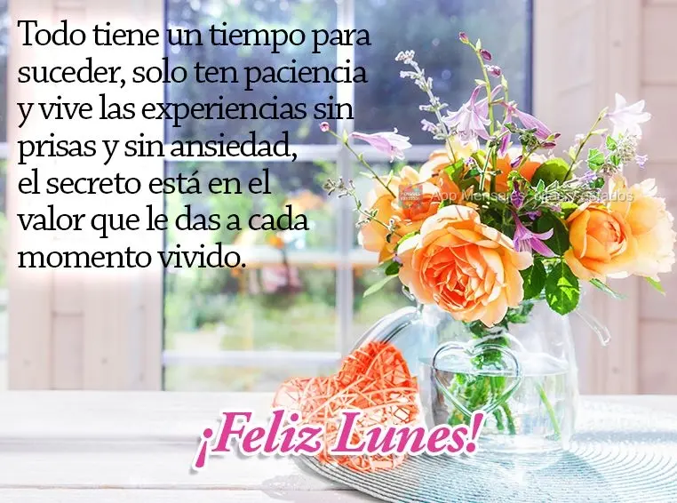 Todo tiene un tiempo para suceder, solo ten paciencia y vive las experiencias sin prisas y sin ansiedad, el secreto está en el valor que le das a cada m...