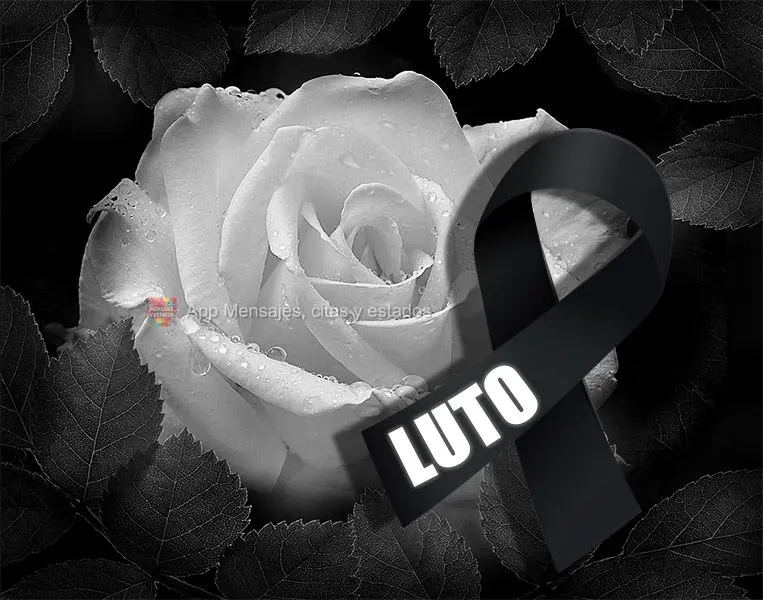 Luto