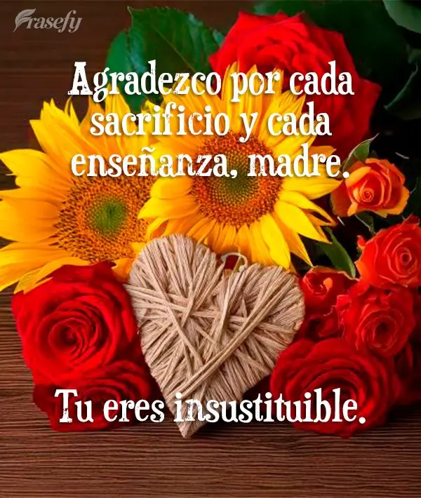 Agradezco por cada sacrificio y cada enseñanza, madre. Tu eres insustituible. 