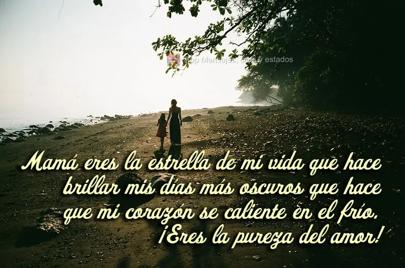 Mamá eres la estrella de mi vida que hace brillar mis días más oscuros que hace que mi corazón se caliente en el frío. ¡Eres la pureza del amor!