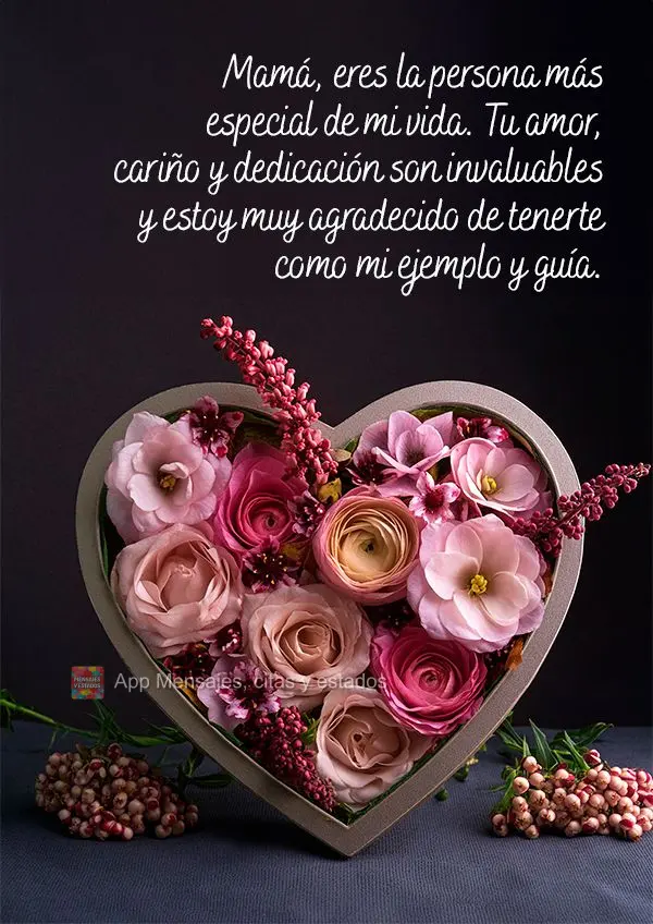 Mamá, eres la persona más especial de mi vida. Tu amor, cariño y dedicación son invaluables y estoy muy agradecido de tenerte como mi ejemplo y guía...