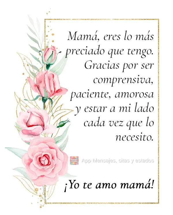 Mamá, eres lo más preciado que tengo. Gracias por ser comprensiva, paciente, amorosa y estar a mi lado cada vez que lo necesito. ¡Yo te amo mamá!