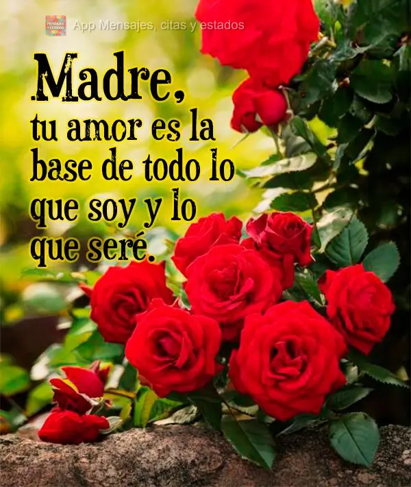 Madre, tu amor es la base de todo lo que soy y lo que seré.
