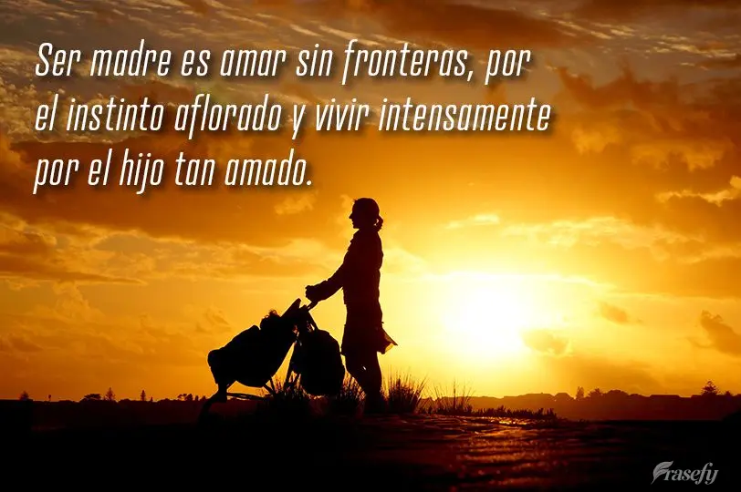 Ser madre es amar sin fronteras, por el instinto aflorado y vivir intensamente por el hijo tan amado.