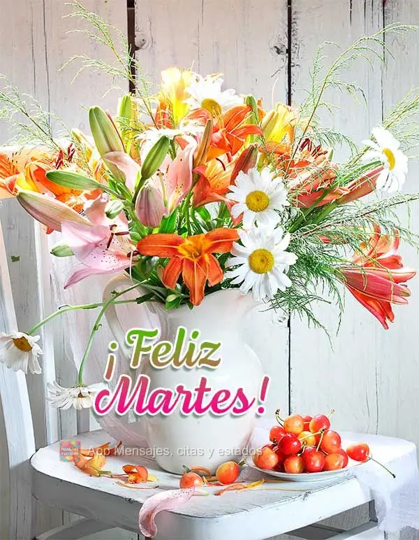 ¡Feliz martes!