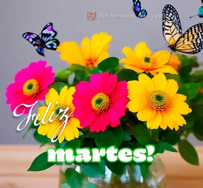 ¡Feliz martes!