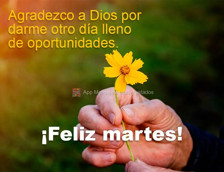 Agradezco a Dios por darme otro día lleno de oportunidades. ¡Feliz martes!