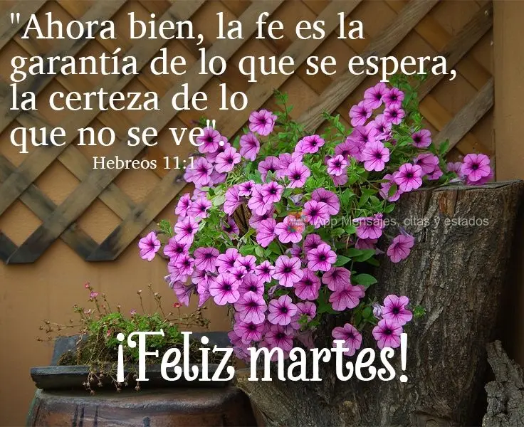 "Ahora bien, la fe es la garantía de lo que se espera, la certeza de lo que no se ve". ¡Feliz martes! Hebreos 11:1
