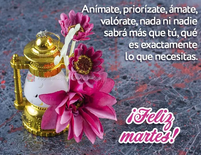Anímate, priorízate, ámate, valórate, nada ni nadie sabrá más que tú, qué es exactamente lo que necesitas. ¡Feliz martes!