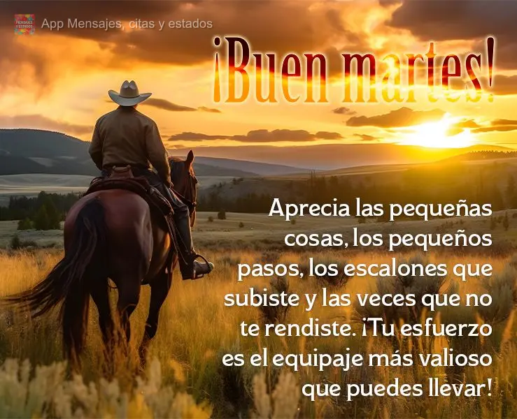 Aprecia las pequeñas cosas, los pequeños pasos, los escalones que subiste y las veces que no te rendiste. ¡Tu esfuerzo es el equipaje más valioso que...