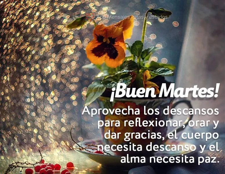 Aprovecha los descansos para reflexionar, orar y dar gracias, el cuerpo necesita descanso y el alma necesita paz. ¡Buen martes!